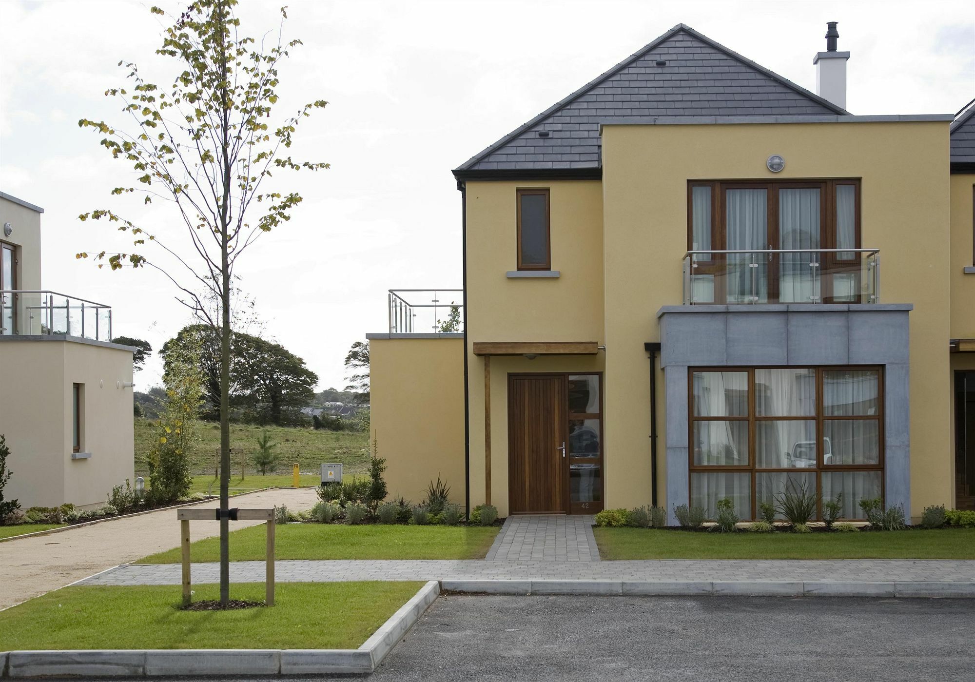 Waterford Castle Hotel & Golf Resort Ballinakill  Extérieur photo