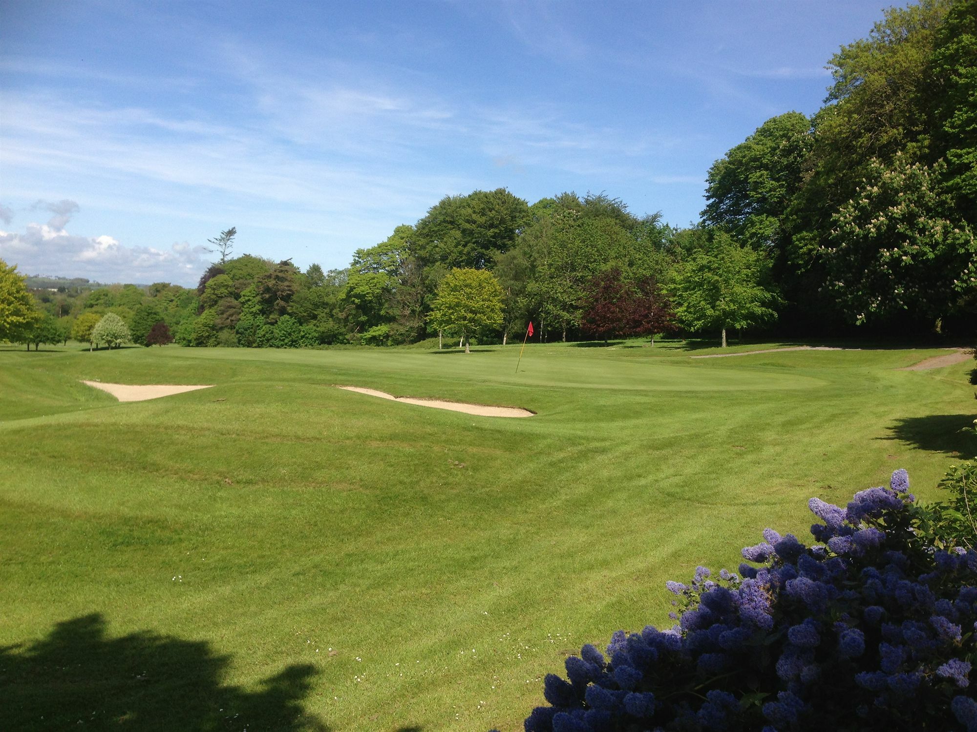 Waterford Castle Hotel & Golf Resort Ballinakill  Extérieur photo
